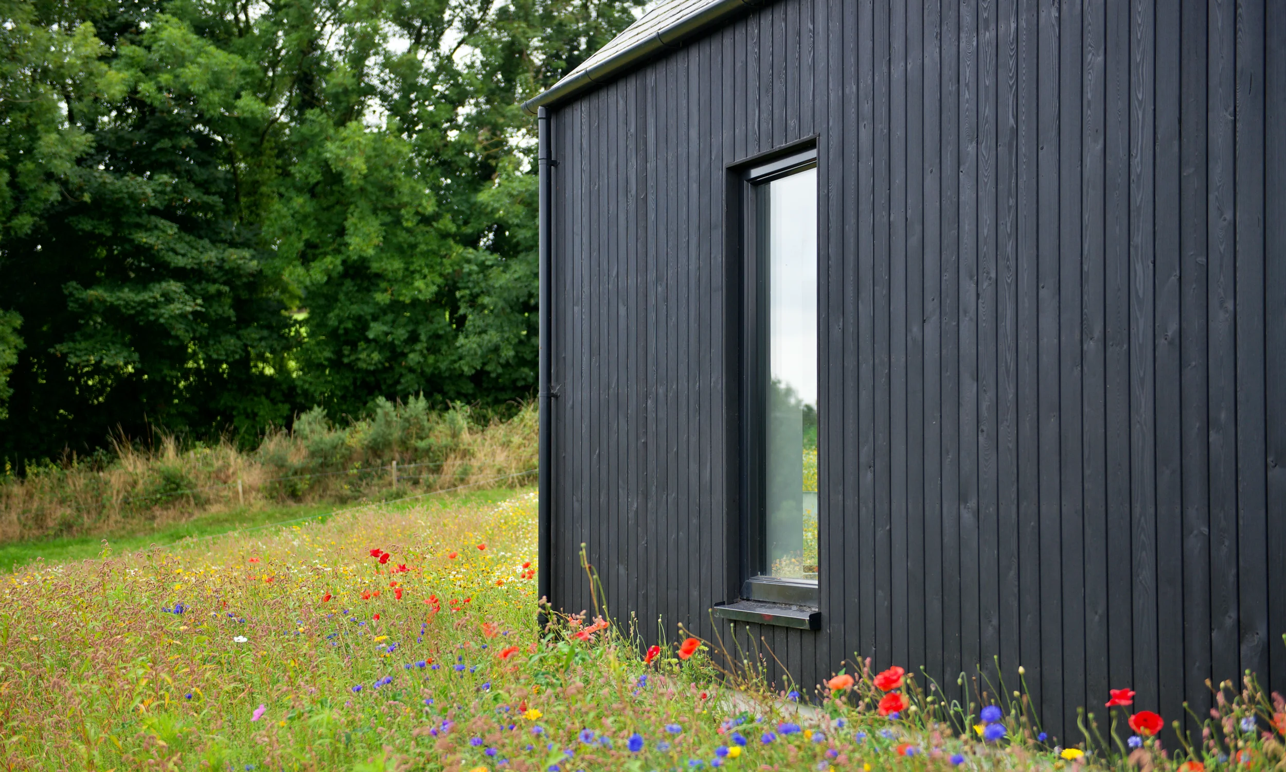 Avara character Yakisugi timber cladding 
